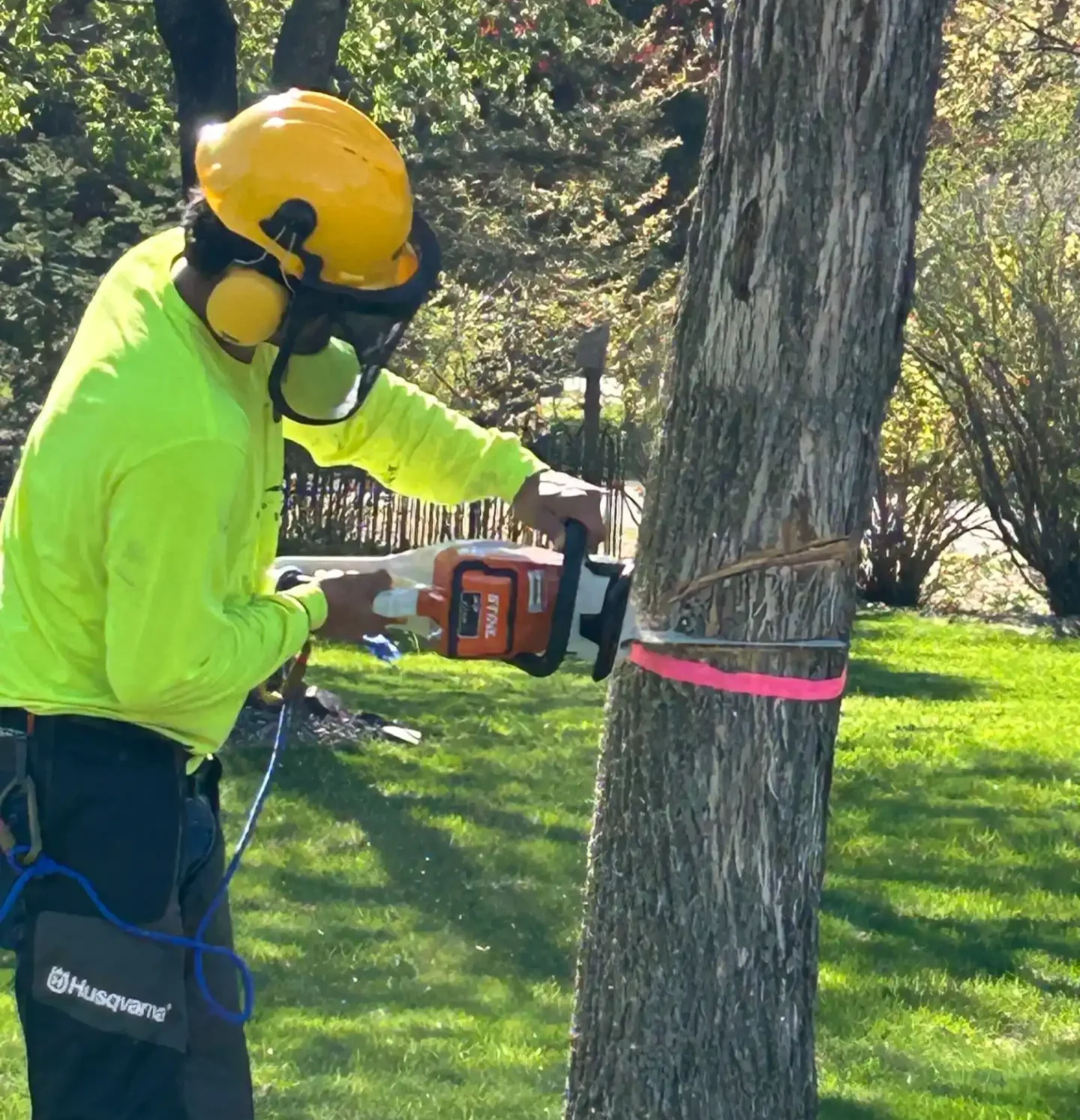 Tree Removal Amarillo TX